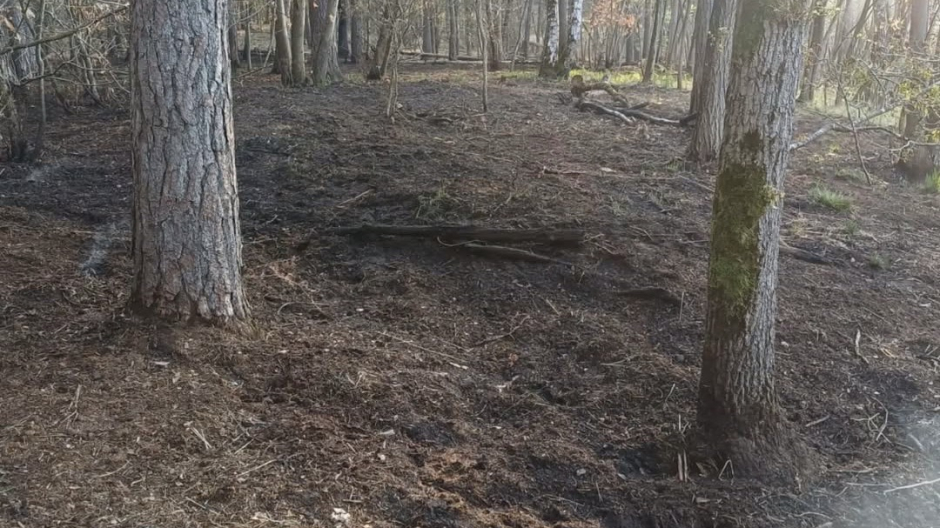 Borgo Ticino domato l'incendio al Bosco Solivo